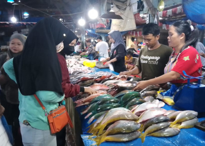 Ketersediaan Ikan di Pasar Berkurang, Angin Kencang dan Ombak Tinggi Buat Nelayan Takut Melaut