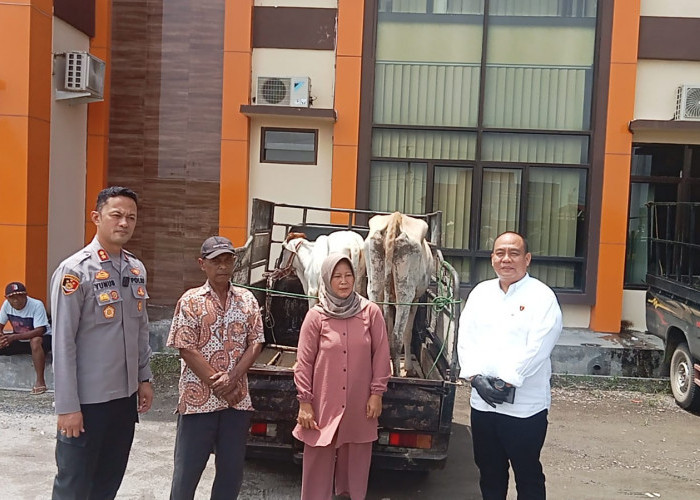 Sapi Miliknya Kembali, Warga Pringsewu Ini Beri Apresiasi Kepada Kapolres Pringsewu 