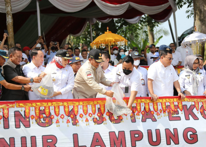 Gubernur Lampung Tebar 1 Juta Benih Ikan di Tulang Bawang
