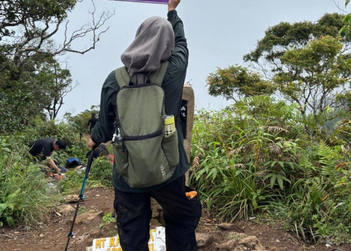 Jalur 'Kecil-Kecil Cabai Rawit' Gunung Rajabasa via Teropong Kota: Panduan Lengkap untuk Pendaki Pemula