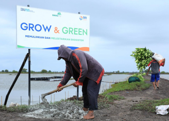 Skor ESG Naik, BRI Kukuhkan Posisi di Sektor Perbankan