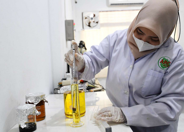 Koperasi Inovac Ekspor Komoditas Unggulan Minyak Nilam Aceh ke Prancis