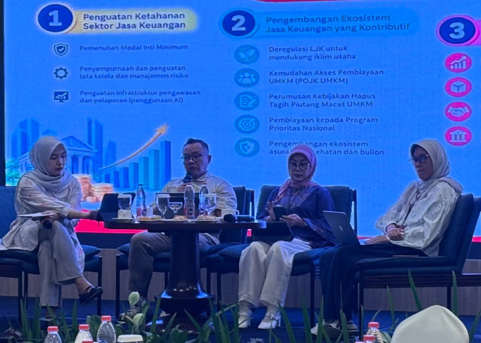OJK Ungkap Kinerja Industri Jasa Keuangan Lampung, Kredit Tembus Rp114,57 Triliun