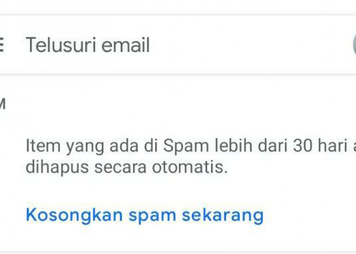 Simak, Begini Cara Menghapus File dan Mengosongkan Sampah di Gmail