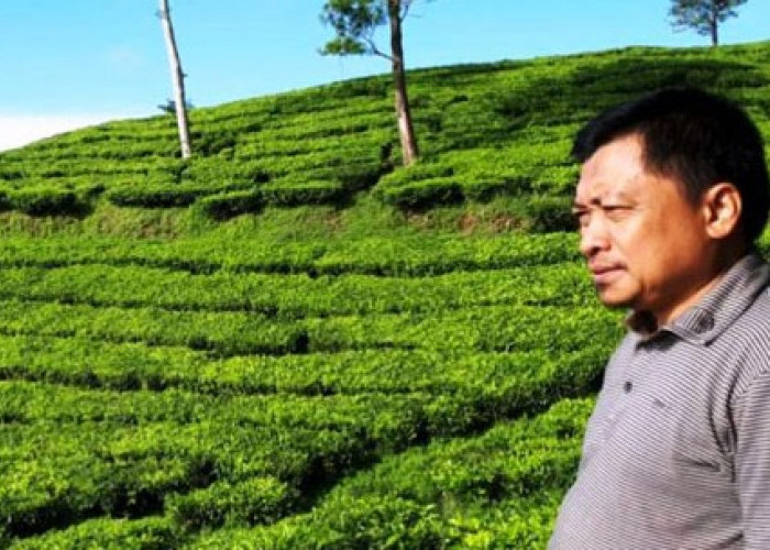 Memperkuat Ekonomi Tanggamus