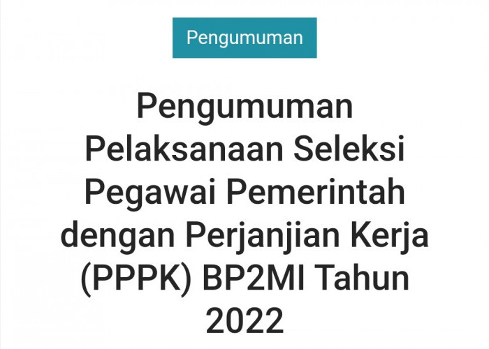 Hasil Seleksi Administrasi PPPK BP2MI 2022, Cek Linknya Di Sini 