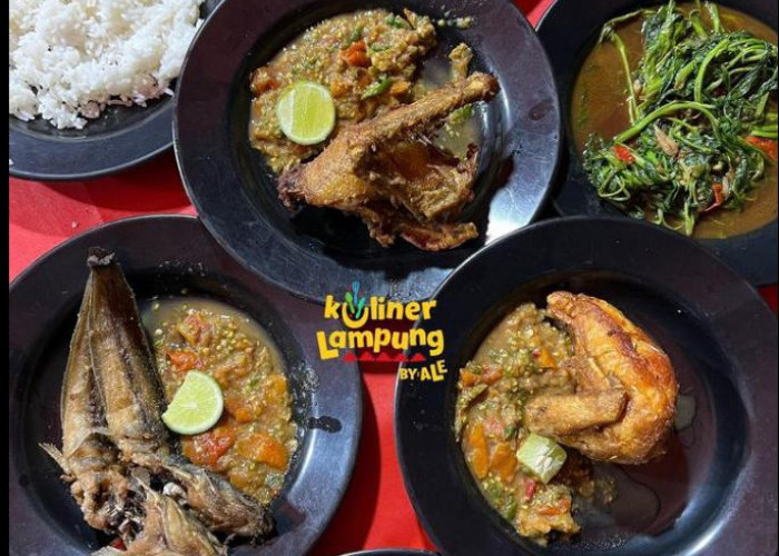 6 Rekomendasi Pecel Lele untuk Kuliner Malam Hari di Bandar Lampung