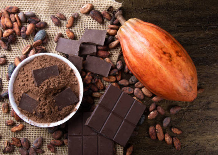 4 Manfaat Cokelat untuk Kesehatan Tubuh, Nomor 3 Bisa Turunkan Tekanan Darah