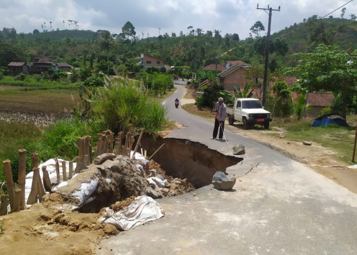 Tim Diturunkan Tinjau Longsor di Pampangan, DPUPR Lampung Barat Upayakan Penanganan Segera