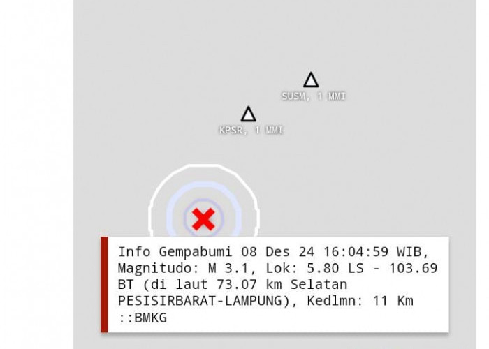 Tahun 2024, BMKG Catat Ratusan Kali Gempa di Lampung