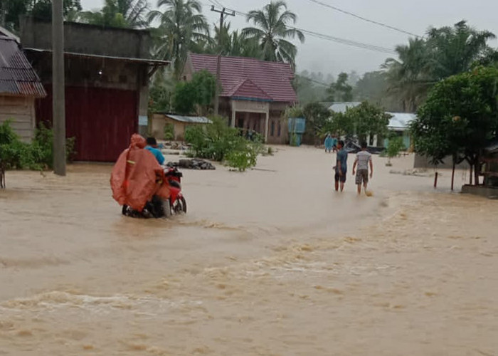 Ini Dampak Banjir Dua Kecamatan di Lampung Barat