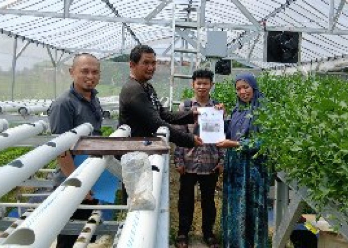 Siapkan Tani Cerdas, Teknologi IIB Darmajaya Bantu Pantau Greenhouse Dari HP