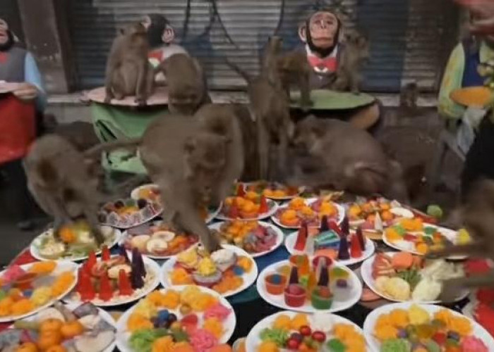 Tradisi Unik Thailand, Gelar Pesta Monyet Tahunan Hingga Nikmati Hidangan Bersama-Sama