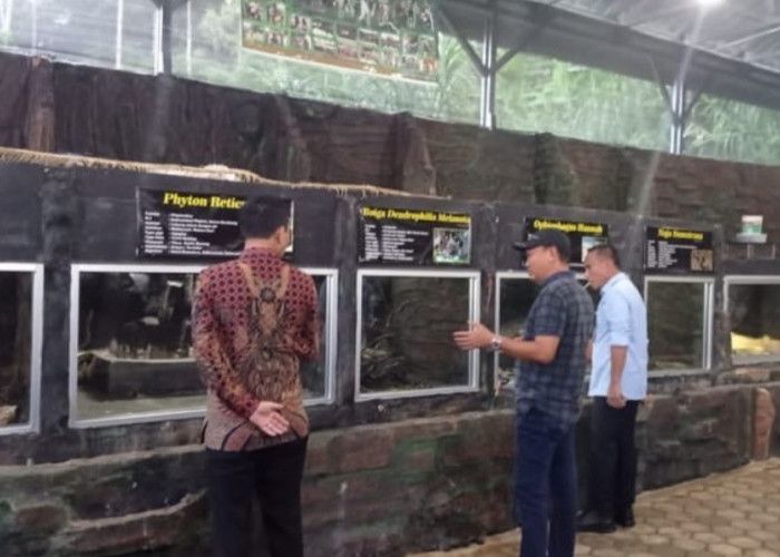 8 Destinasi Edukasi Fauna Bagi Anak di Lampung yang Mesti Didatangi, Bisa Alihkan Perhatian dari Gadget Loh 