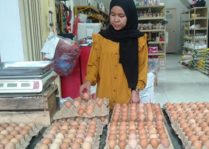 Terus Meroket, Harga Telur Ayam di Bandar Lampung Makin Mahal