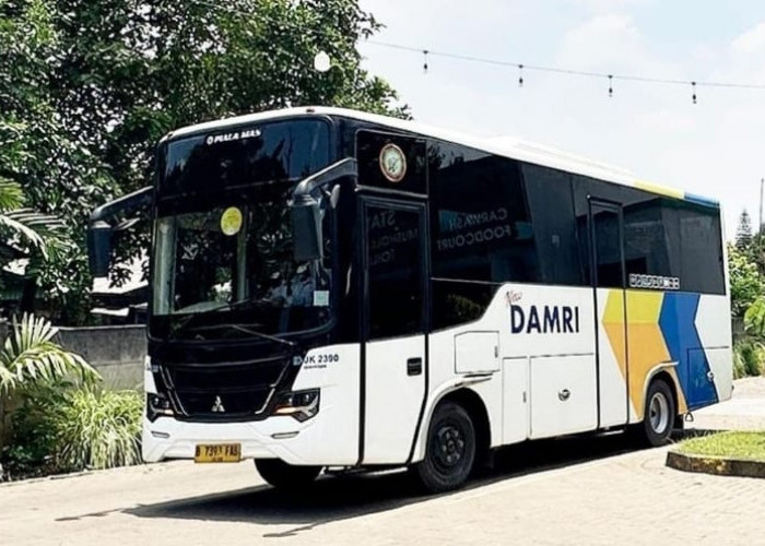 DAMRI Buka Rute Baru,  Jadwal Operasional Hingga Titik Keberangkatan Fleksibel Jakarta Lampung 