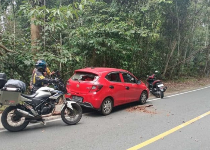 Diduga Lakukan Pencurian di Ngambur, Pelaku Tinggalkan Kendaraan di Jalinbar TNBBS Bengkunat