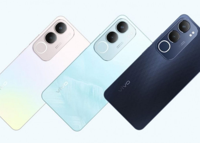 Masuk HP 1 Juta Terbaru Dalam Seri Vivo Y19s, Bongkar Fiturnya