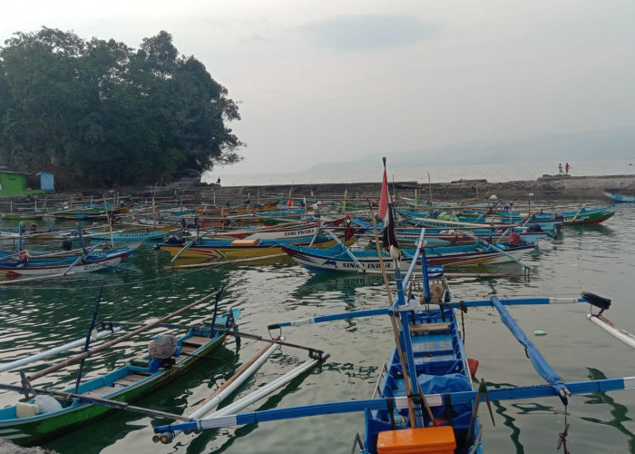 Mau Tau Tarif Perahu Penyeberangan ke Pulau Pisang dan Way Haru? Segini Harganya