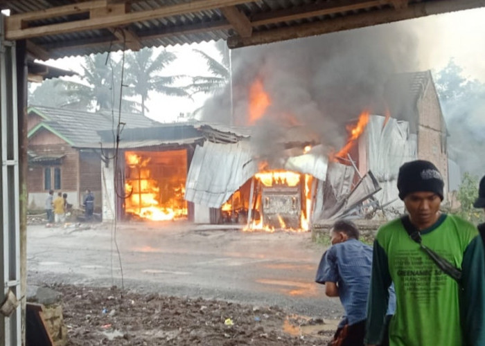 Kebakaran di Lampung Barat, Ini Kondisi Terkini 