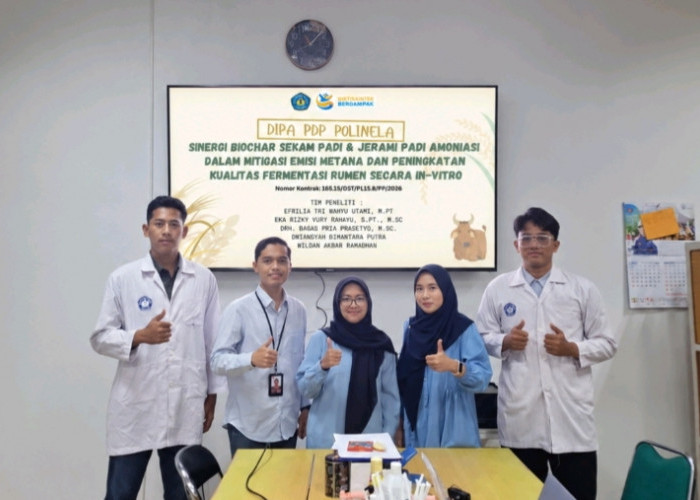 Dosen Polinela Kembangkan Pakan Ternak dari Limbah Padi untuk Tekan Emisi Metana