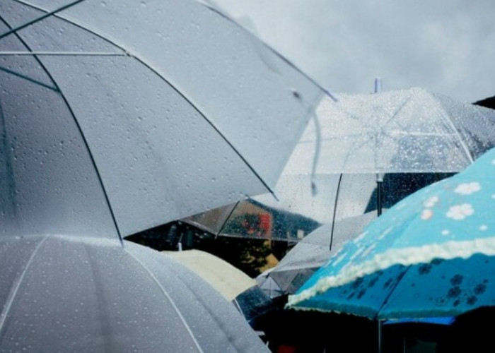 Info Cuaca Lampung Hari Ini, Cek Potensi Wilayah Terdampak Hujan Dalam Peringatan Dini Cuaca Ekstrem