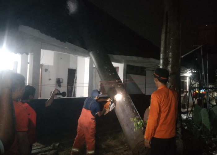 Hujan Deras Disertai Angin Kencang, Bandar Lampung Dilanda Banjir Hingga Pohon Tumbang