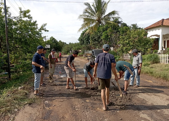 Jenuh Tak Kunjung Diperbaiki, Warga Kampung Bengkulu Rejo Gotong Royong Timbun Jalan Provinsi yang Rusak Parah