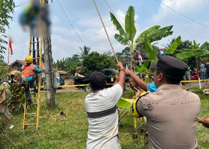 Perbaiki Jaringan Instalasi, Petugas PLN Meninggal Dunia, Penyebabnya...