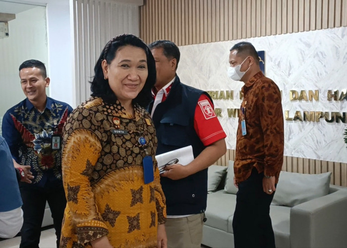 Intip Harta Kekayaan Sorta Delima Tobing, Kakanwil Kemenkumham Lampung yang Kian Tajir Melintir