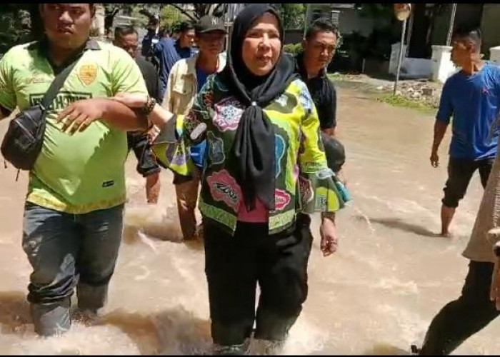 Ikut Terjun Ke Lapangan, Wali Kota Bandar Lampung Janji Segera Cari Solusi Banjir 