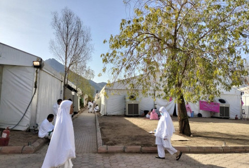 Alhamdulillah, Pohon Soekarno Tumbuh Subur di Arab Saudi