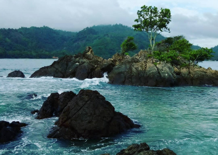 Masuk 50 Besar ADWI 2024, Ini 5 Fakta Desa Wisata Teluk Kiluan di Tanggamus Lampung 