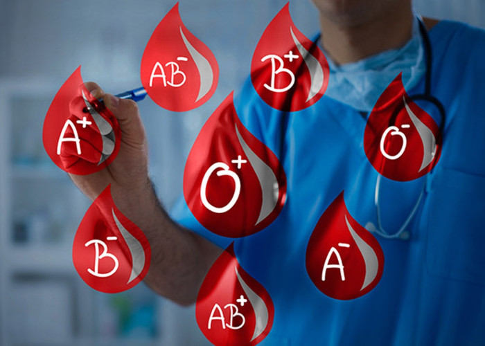 Golongan Darah Manusia yang Miliki 4 Karakteristik dan Sifatnya Masing-masing, Golda A Tahan Gigitan Nyamuk