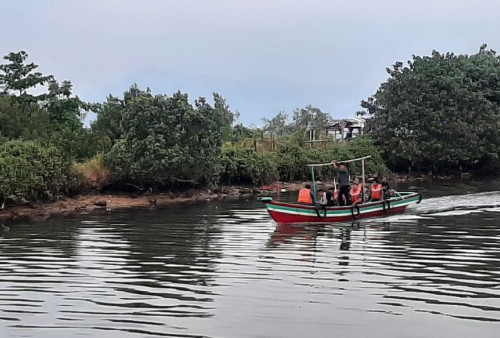 Dinas Damker dan Penyelamatan Kota Bandar Lampung Sisir Buaya di Pulau Pasaran