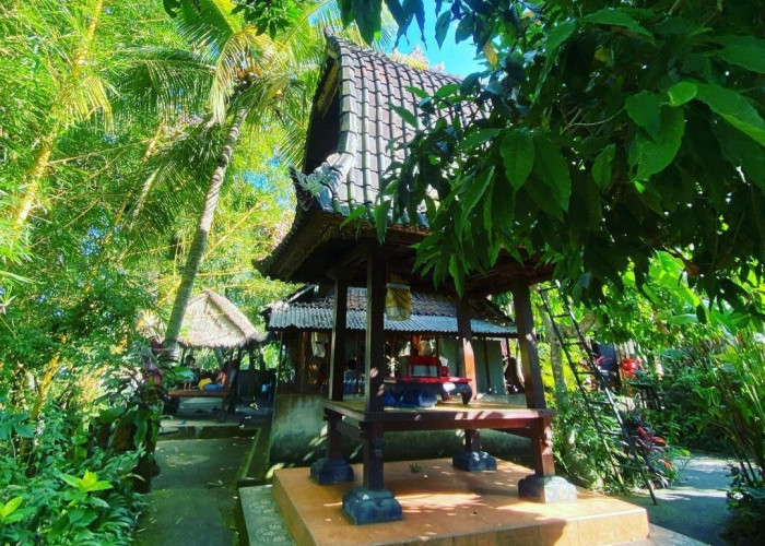 Wisatawan ingin berlibur di Ubud Bali Wajib Tahu, Bikin Maknyus!