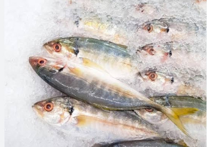 Catat Bun, Selain Salmon Inilah 7 Jenis Ikan yang Bagus untuk MPASI