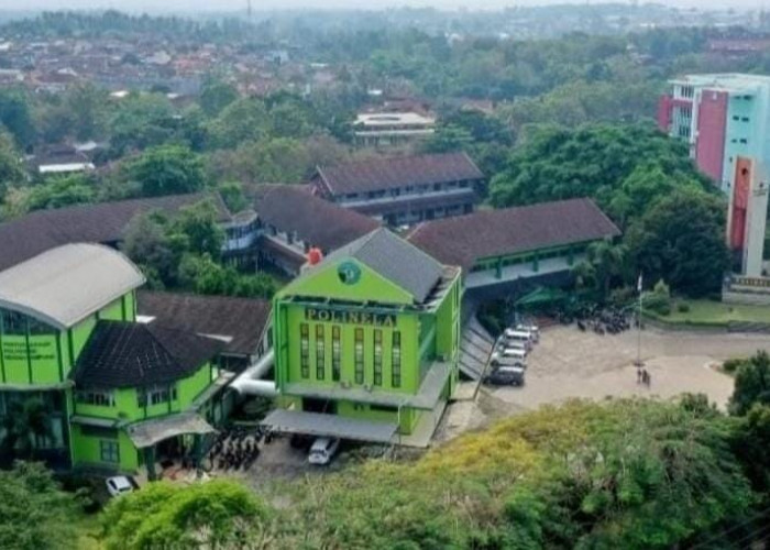 4 Tahun Dinanti, D3 Farmasi Polinela Resmi Kantongi Izin Operasional Kemendiktisaintek