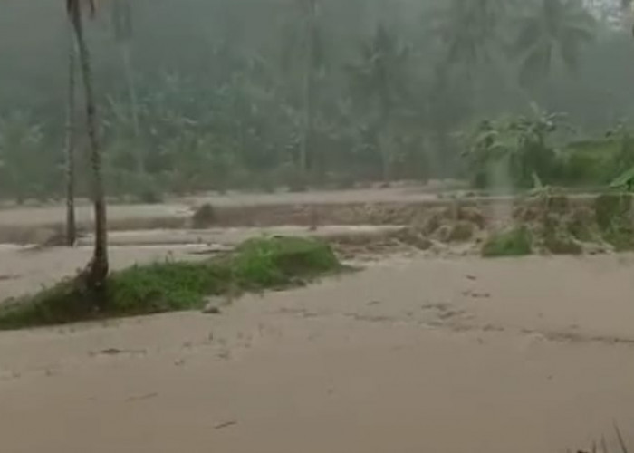 Banjir Bandang Terjang Dua Kecamatan di Tanggamus