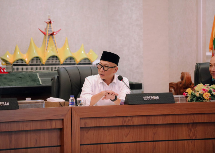Gubernur Mirza Tegaskan Target Pertumbuhan Ekonomi 8 Persen, Tak Bisa Hanya Andalkan APBD Lampung