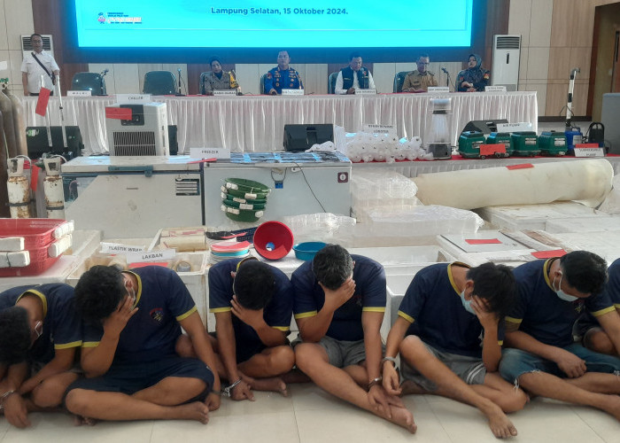 14 Pelaku Diamankan, Ditpolairud Polda Lampung Gagalkan Penyelundupan 149 Ribu Benih Lobster