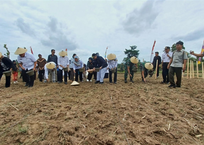 Petani Lampung Timur Sulit Mendapatkan Pupuk Subsidi, Ini Saran Wakil Menteri Pertanian