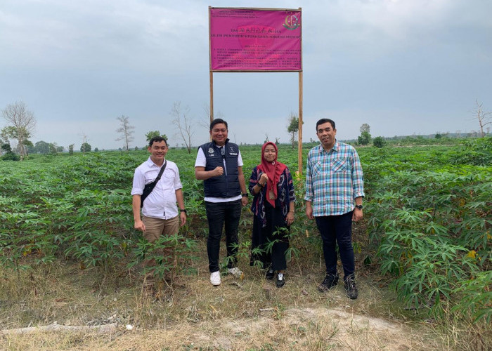 Kejari Mesuji Lampung Segel 40 Hektare Lahan Singkong di Desa Sriwijaya, Ini Alasannya 