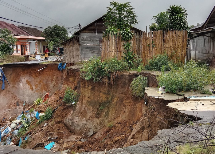 Dampak Longsor, Dua Rumah di Lampung Barat Terancam Ambruk, Begini Kondisinya 