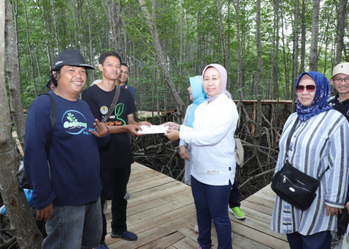 Rektor Unila Tinjau Ekowisata Mangrove Cukuh Nyinyi