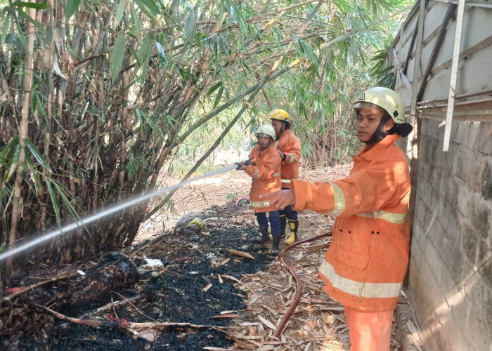 Puntung Rokok Diduga Picu Kebakaran Lahan di Metro