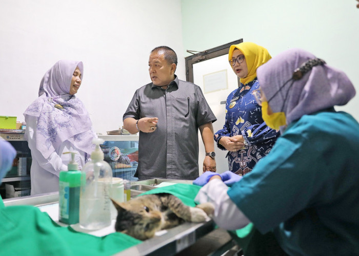 Pemprov Lampung Bakal Miliki Rumah Sakit Hewan, Yuk Kepoin Lokasinya