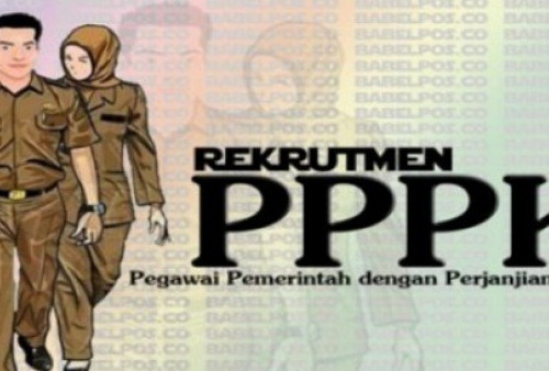 Pemprov Lampung Usulkan 713 Formasi PPPK, Ini Rinciannya