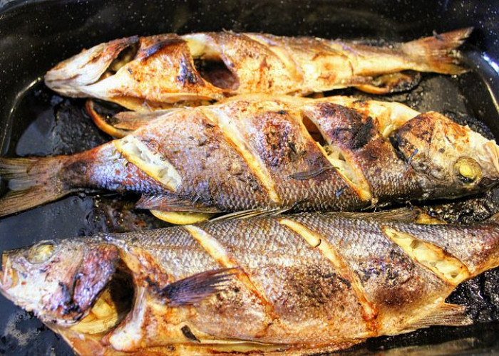 Simak 3 Resep Ikan Bakar Nikmat Sangat Cocok Disantap Saat Menjelang Malam Tahun Baru