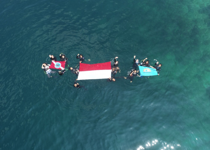 Klub Selam Anemon Unila Kolaborasi Kibarkan Bendera Merah Putih di Bawah Laut